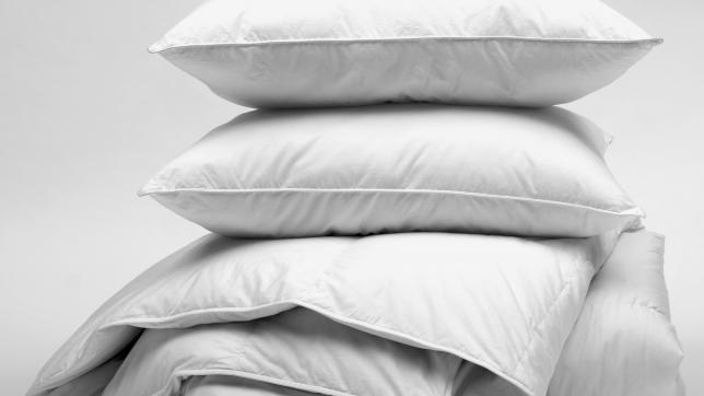 What to do with old pillows & duvets?