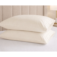 Bamboo standard housewife pillowcase pair