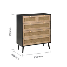 Reine 5 Drawer Rattan Chest