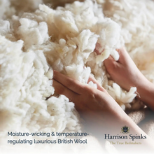 Harrison Spinks Premium British Wool Pillow